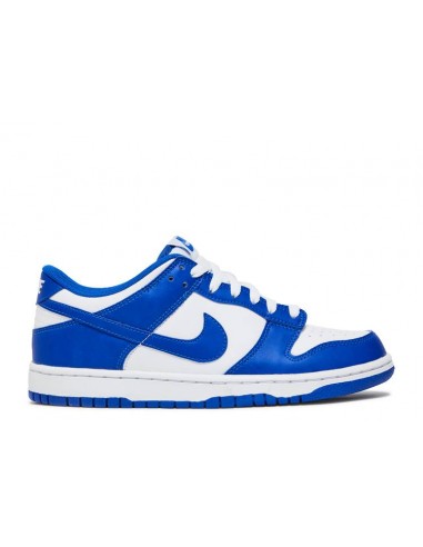 Nike Dunk Low Racer Blue sur le site 