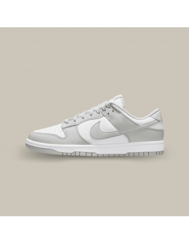 Nike Dunk Low Grey Fog Les êtres humains sont 