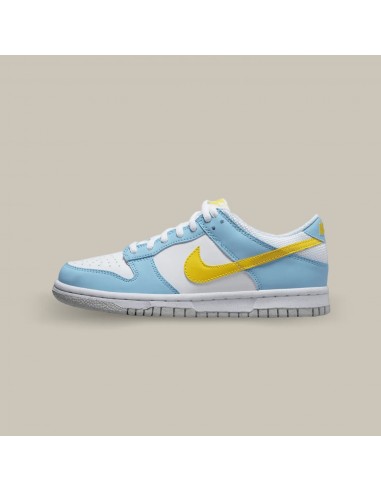 Nike Dunk Low Homer Simpson sur le site 