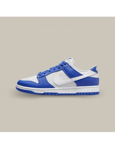 Nike Dunk Low Kentucky Alternate Venez découvrir notre 