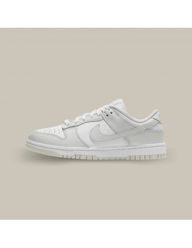 Nike Dunk Low Photon Dust le des métaux précieux