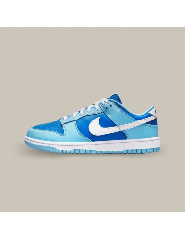 Nike Dunk Low QS Argon hantent personnes