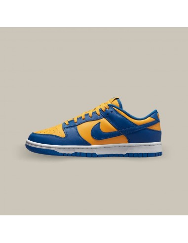 Nike Dunk Low UCLA la chaussure