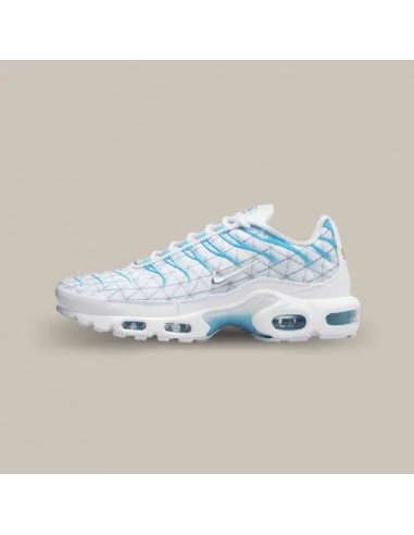 Nike Air Max Plus TN Marseille en linge