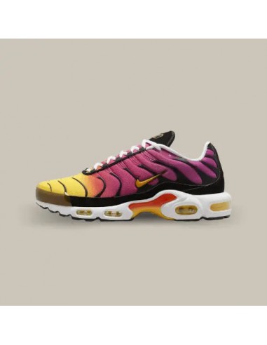 Nike Air Max Plus TN Yellow Pink Gradient Les magasins à Paris