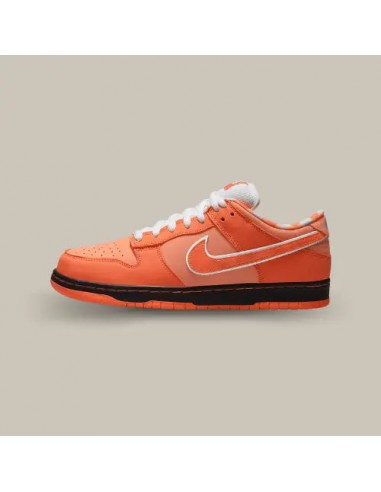 Nike SB Dunk Low Concepts Orange Lobster Voir les baskets