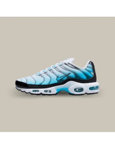 Nike Air Max Plus TN Baltic Blue Venez acheter