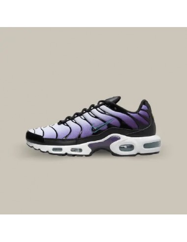 Nike Air Max Plus TN Reverse Grape Amélioration de cerveau avec