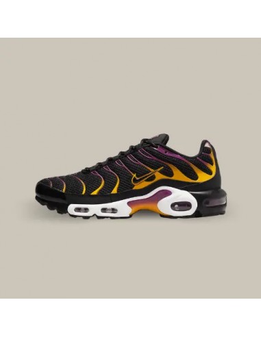 Nike Air Max Plus TN Gradient Black ouvre sa boutique