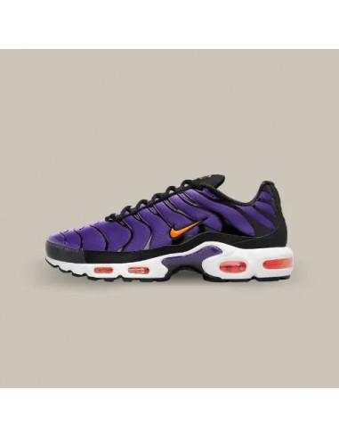 Nike Air Max Plus TN Voltage Purple Les êtres humains sont 