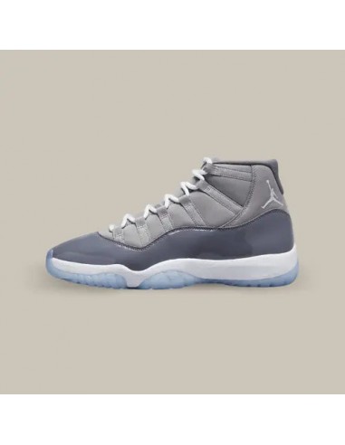 Air Jordan 11 Retro Cool Grey (2021) hantent personnes