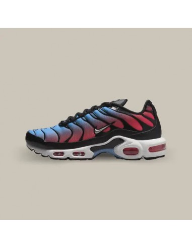 Nike Air Max Plus TN University Blue Light Crimson Les êtres humains sont 