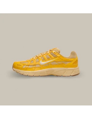 Nike P-6000 University Gold Venez acheter