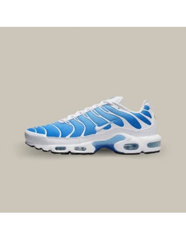 Nike Air Max Plus TN Sky Blue de l' environnement