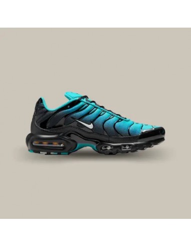 Nike Air Max Plus TN Light Retro Blue offre 