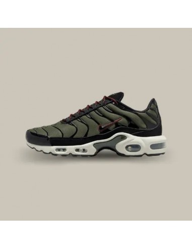 Nike Air Max Plus TN Cargo Khaki Phantom Pour