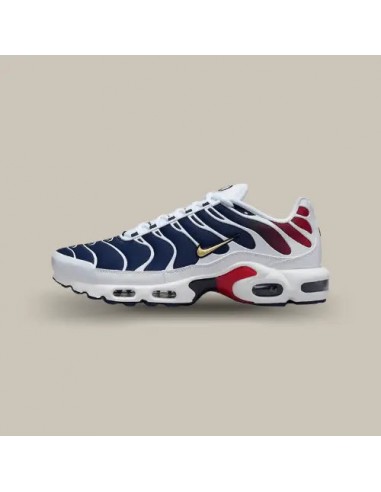 Nike Air Max Plus TN PSG store