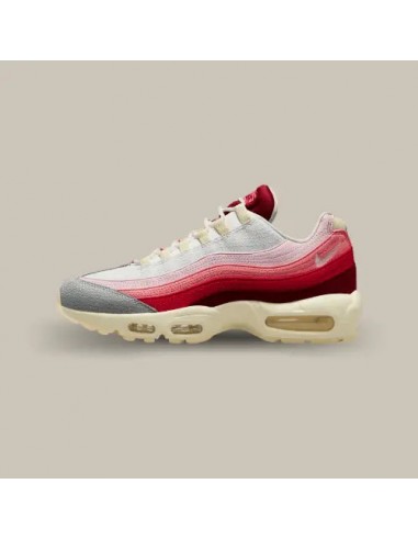 Nike Air Max 95 Anatomy of Air 2 - 3 jours ouvrés.