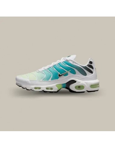 Nike Air Max Plus Dusty Cactus Barely Volt en ligne