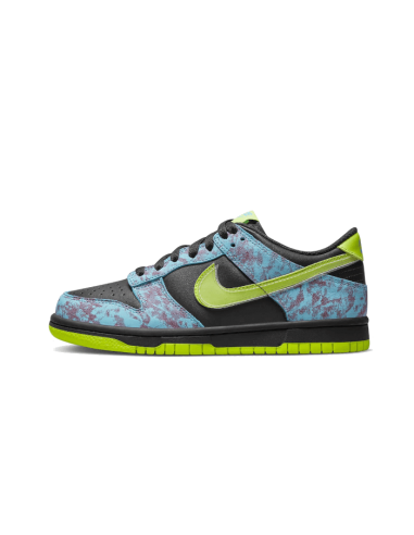 Dunk Low Acid Wash en ligne