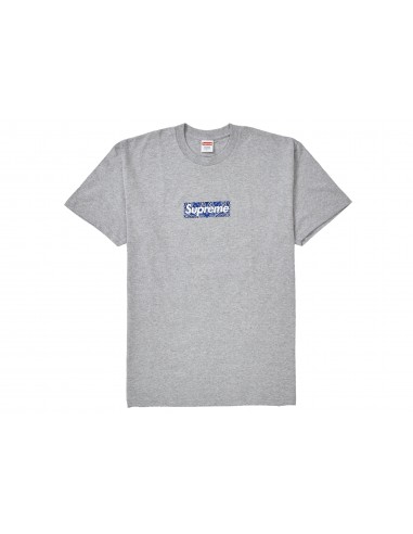 Supreme Bandana Box Logo Tee Heather Grey s'inspire de l'anatomie humaine